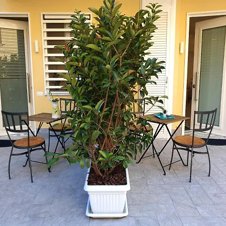 公寓 La Casa Di Mina *